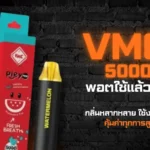 VMC 5000 | พอตใช้แล้วทิ้ง กลิ่นหลากหลาย ใช้งานง่าย คุ้มค่าทุกการสูบ